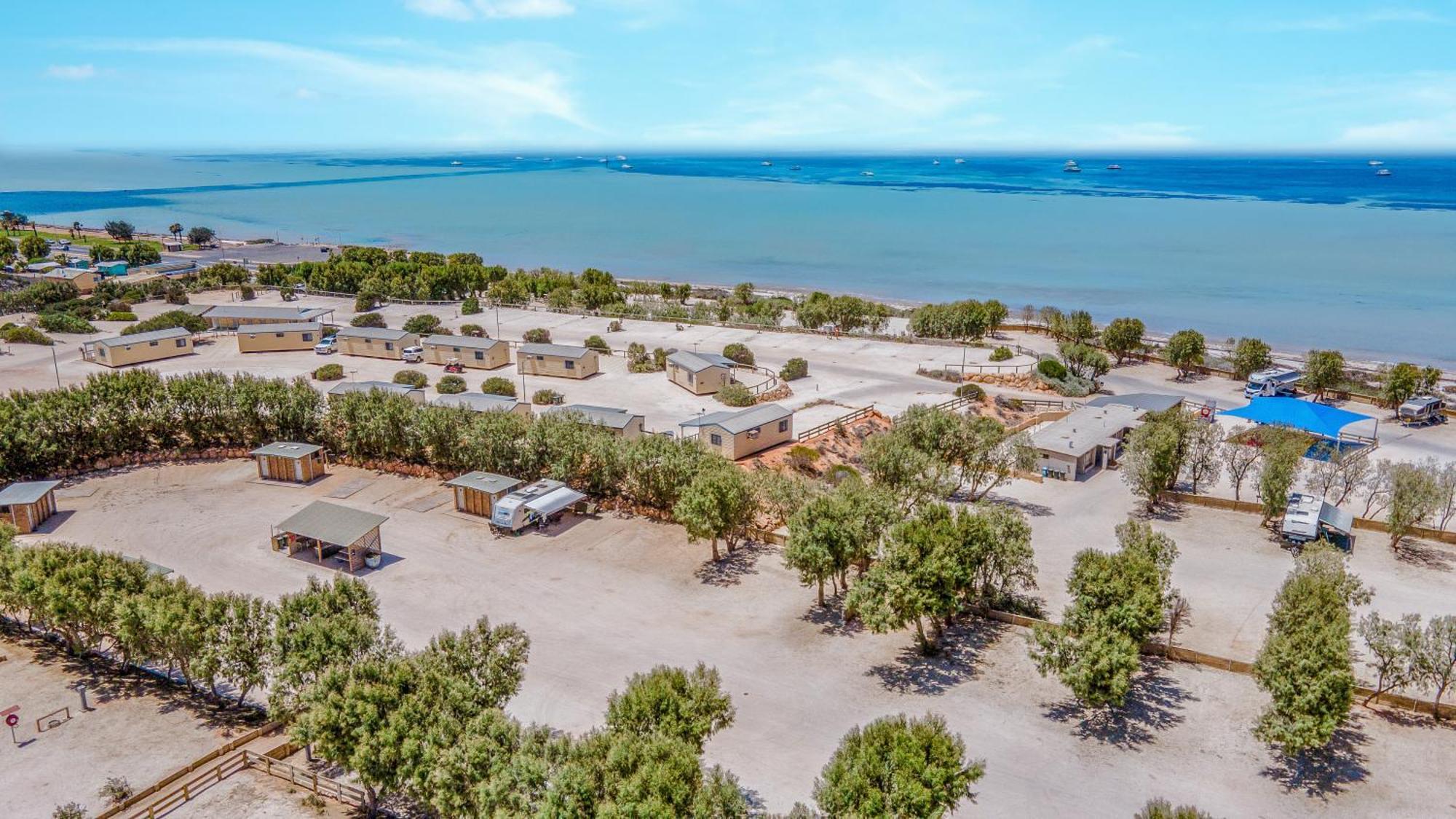 Tasman Holiday Parks - Denham Seaside 外观 照片